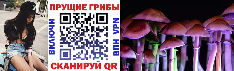 Псилоцибиновые грибы ЛСД  Карасук 